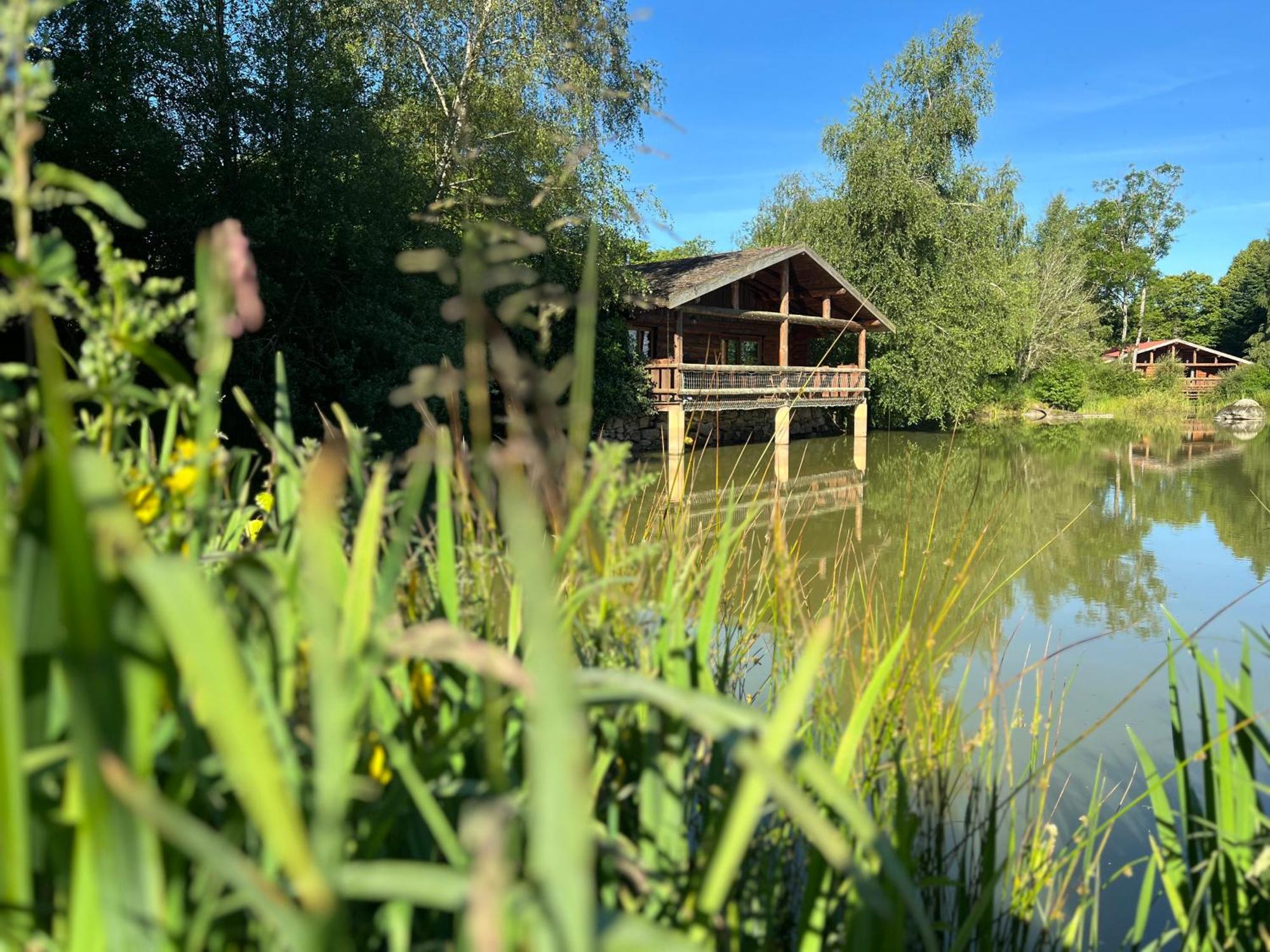 Le Domaine De La Vergnolle Roches  Exterior photo